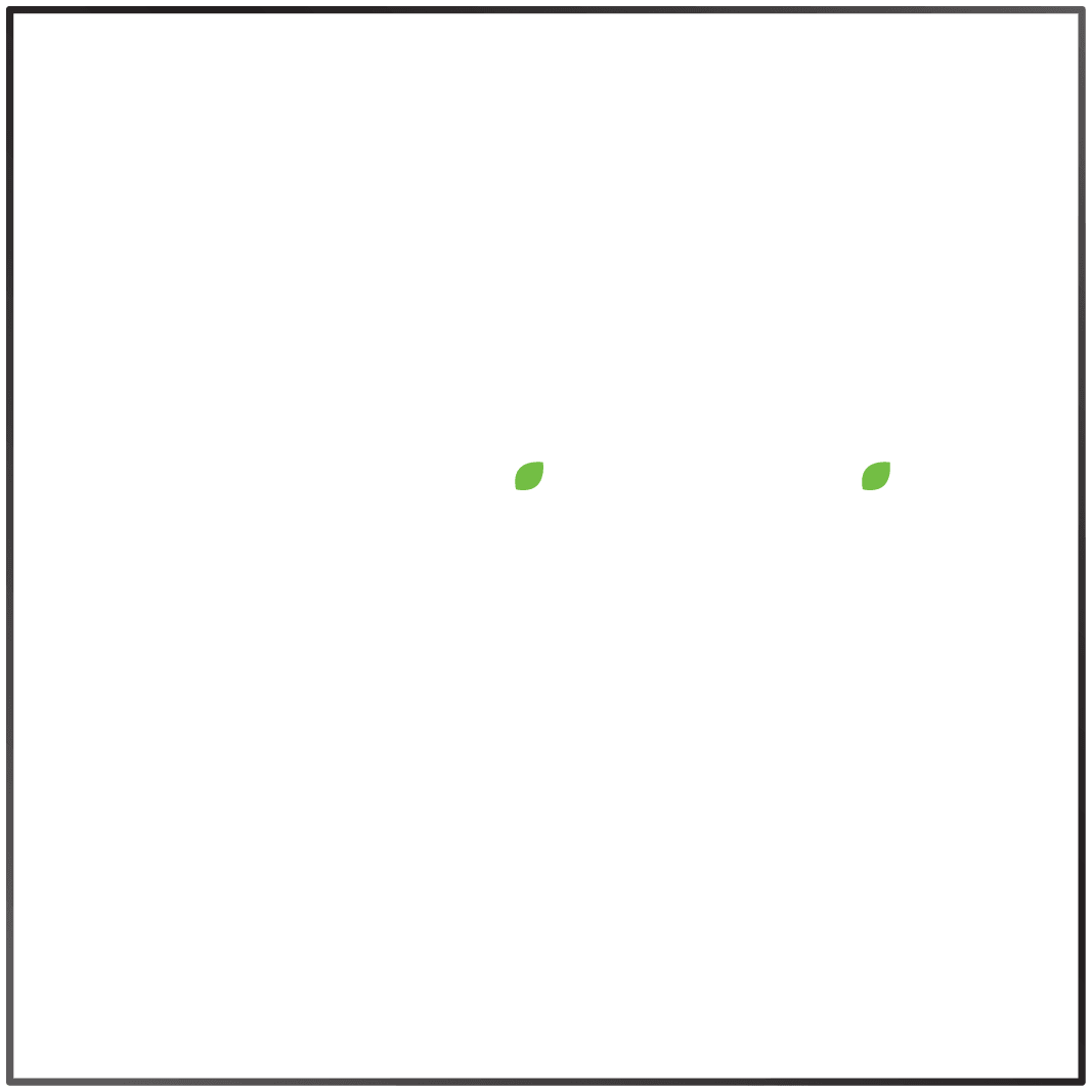 Client 8